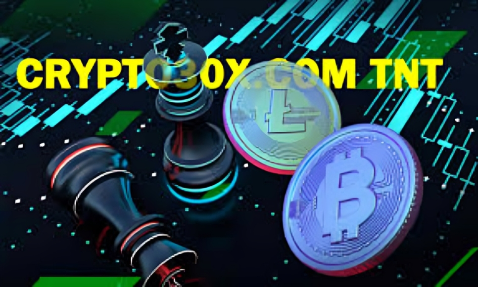 Crypto30x.com TNT